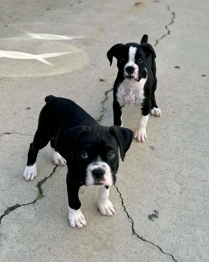 5794051560122813455 5794051560122813455