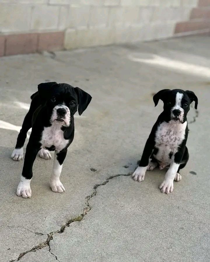 5794051560122813456 5794051560122813456