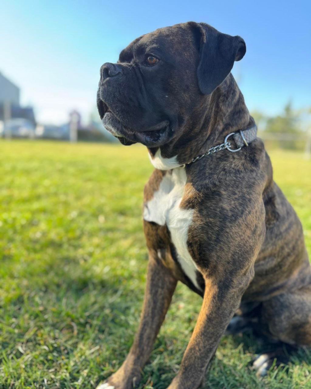 5794051560122813478 5794051560122813478