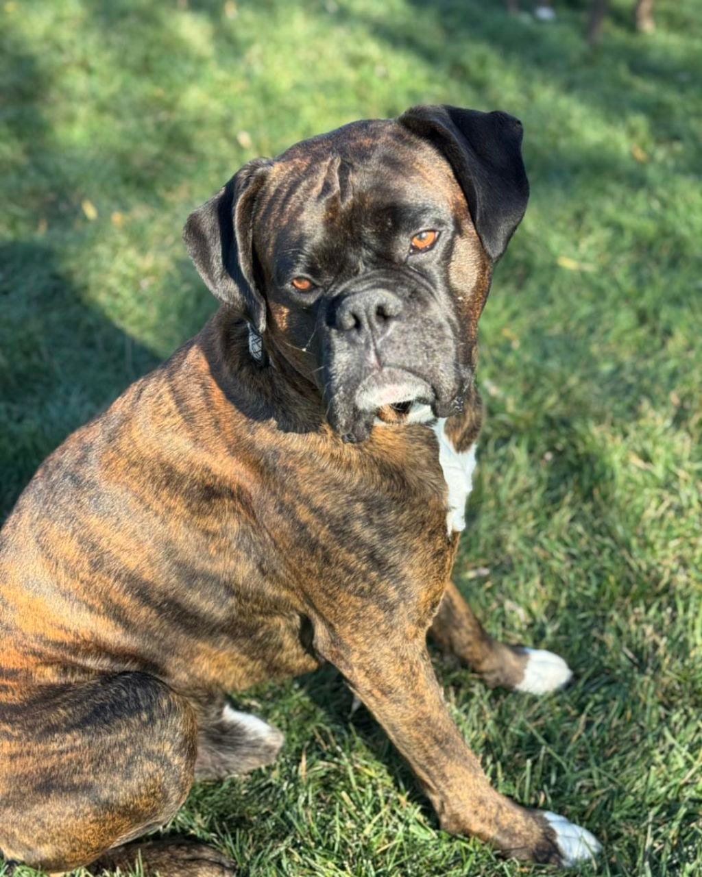 5794051560122813479 5794051560122813479