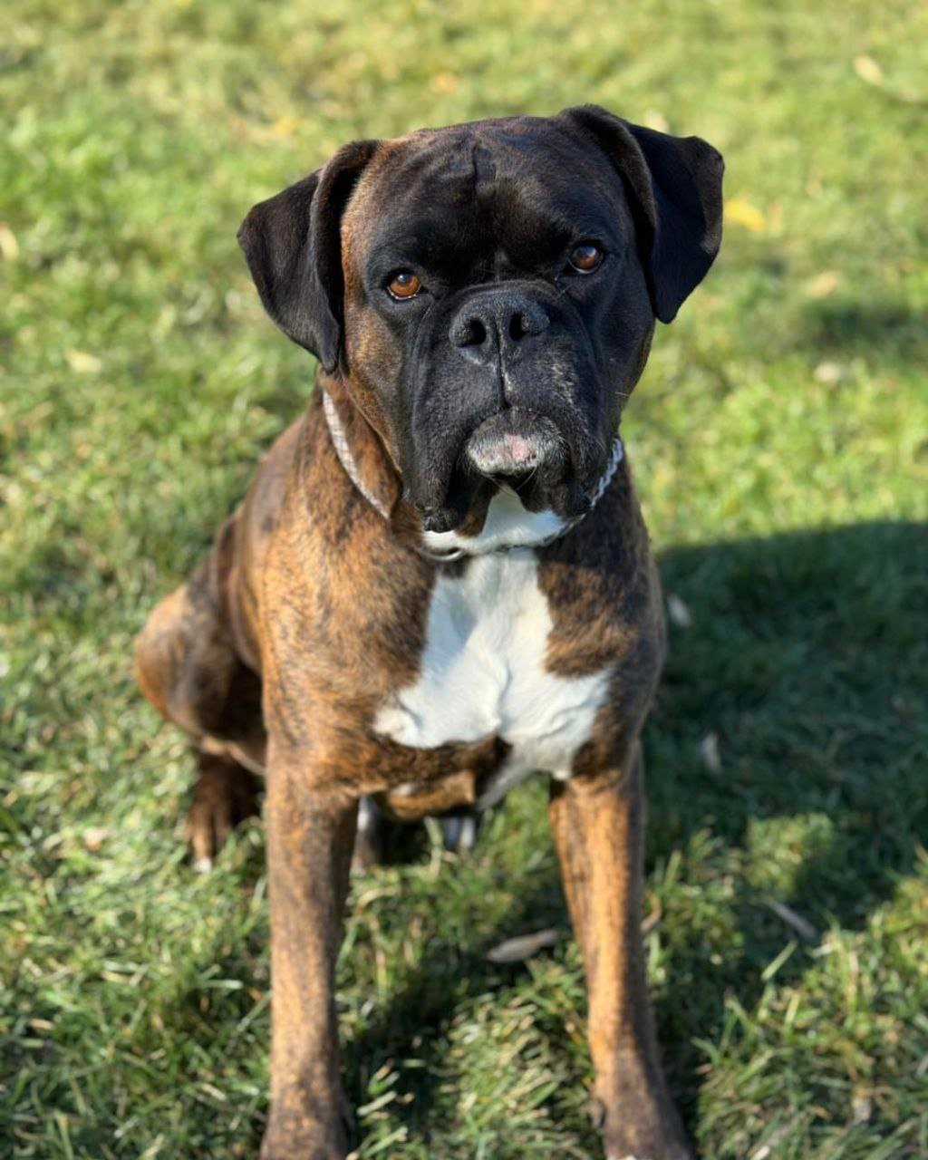 5794051560122813480 5794051560122813480