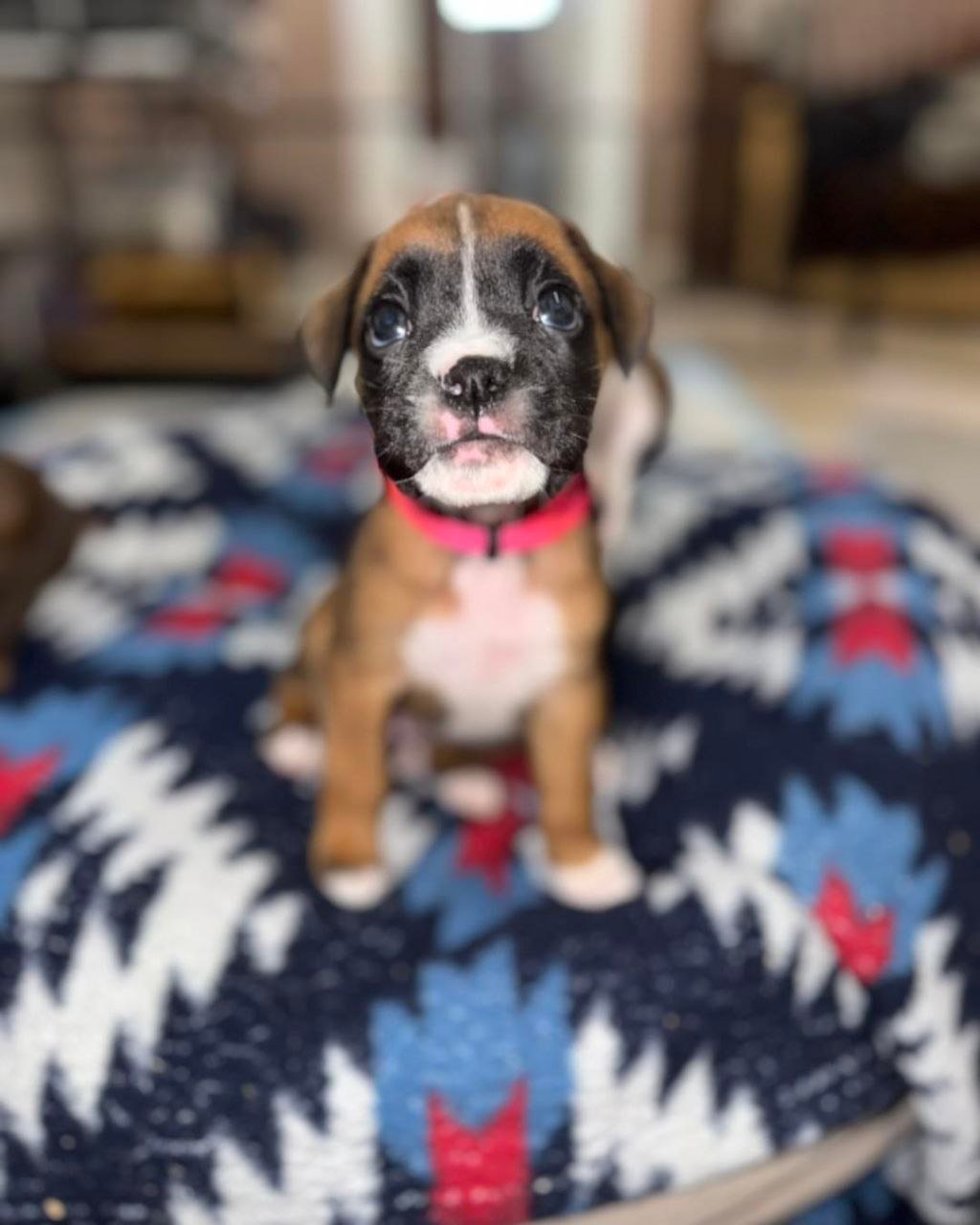 5794051560122813506 5794051560122813506